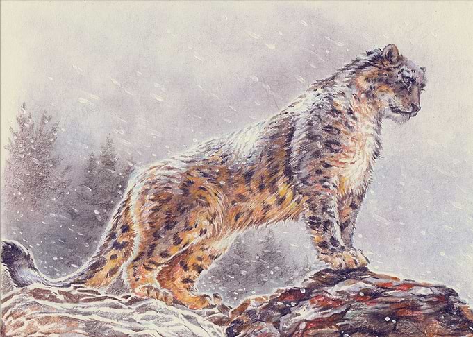 Snow Leopard in Winter Landscape Painting