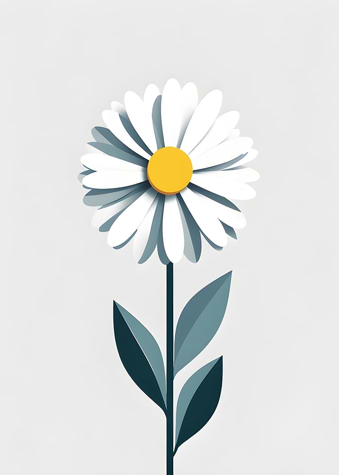 Minimalist Daisy Flower Illustration