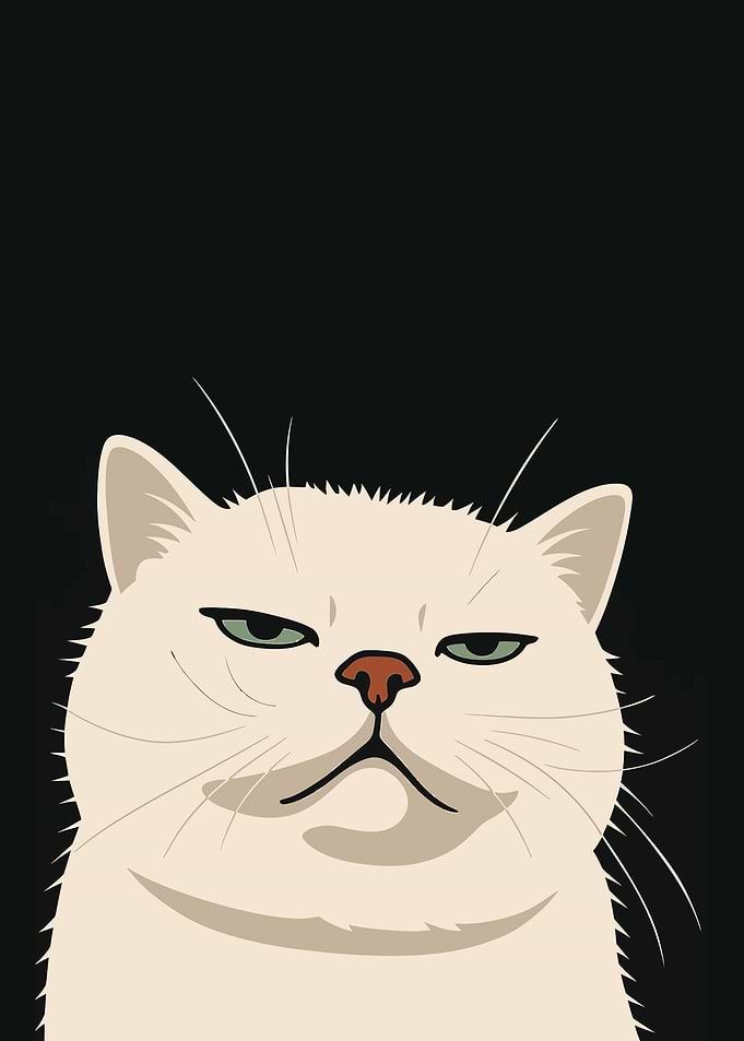 Grumpy Cat Illustration on Black Background