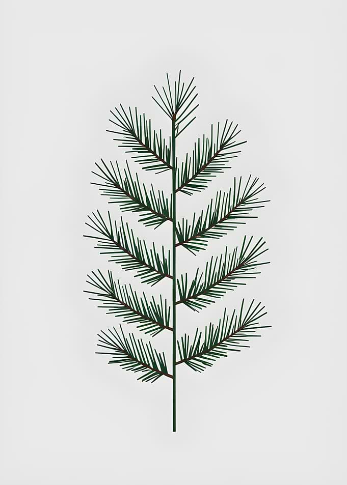 Minimalist Pine Branch on White Background