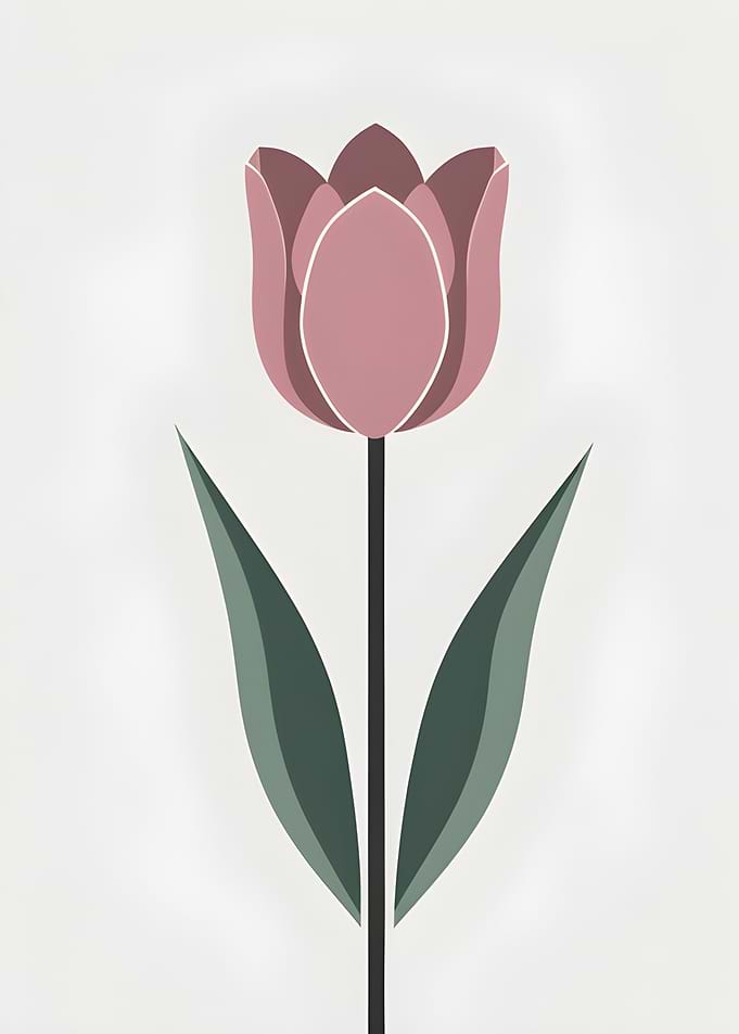 Minimalist Tulip Flower Illustration