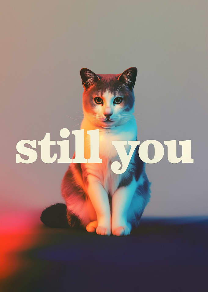 Still You