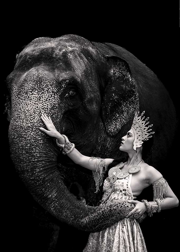 Elephant and Woman in Black and White