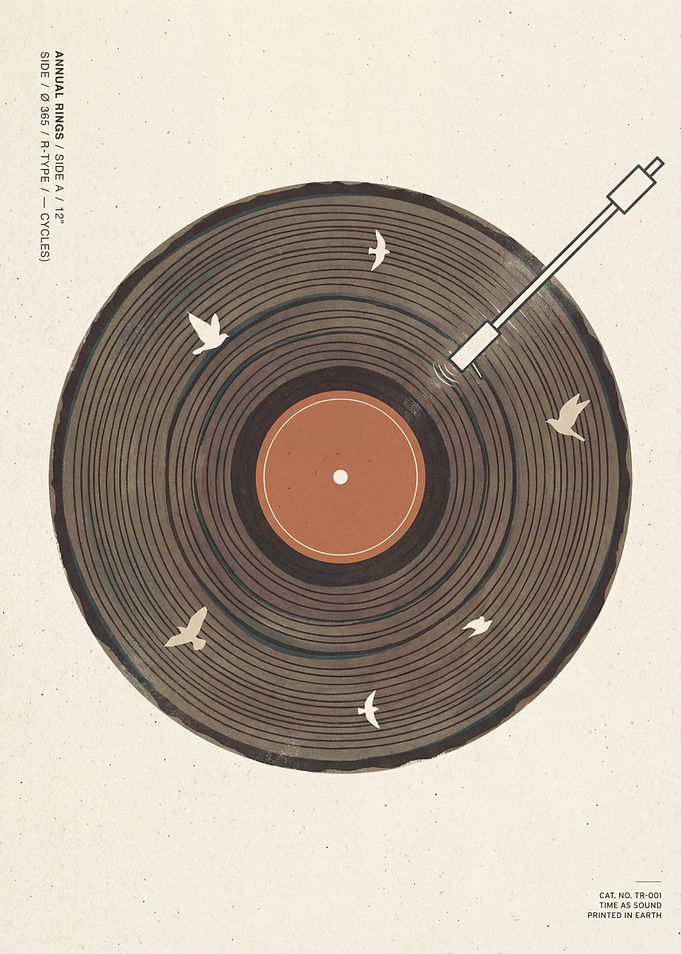 Birds Vinyl Record Art