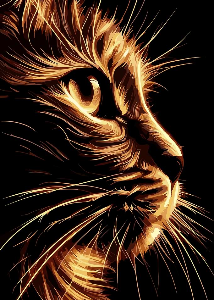 Golden Cat Portrait on Black Background