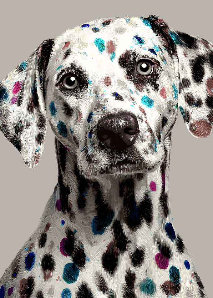 Dalmatian with colorful spots portrait