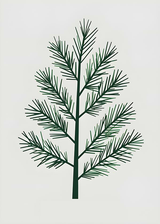 Minimalist Green Pine Tree Illustration