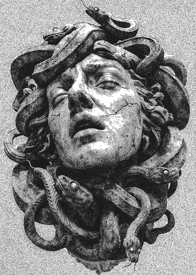 Medusa Head Black and White Illustration