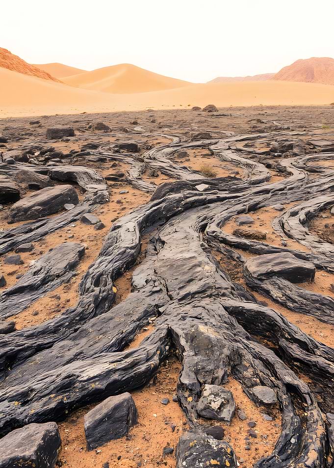 Desert landscape with rock formations