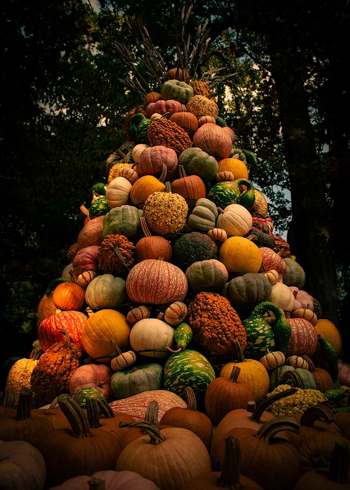 The Great Pumpkin Pyramid