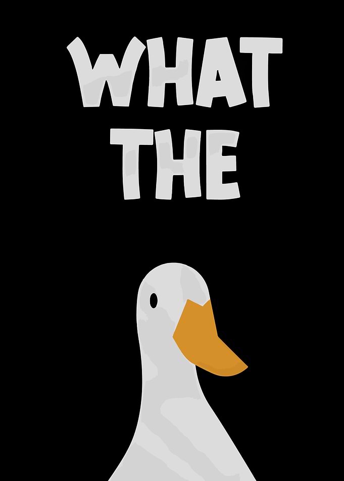What the Duck Funny Image