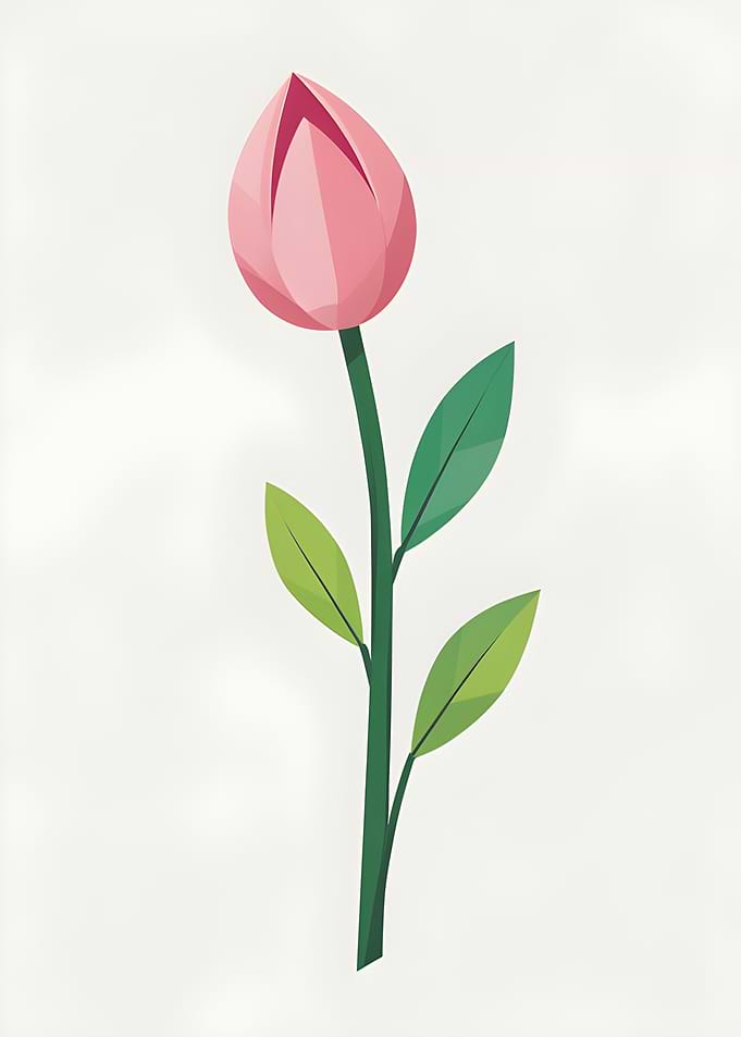 Pink Tulip Illustration