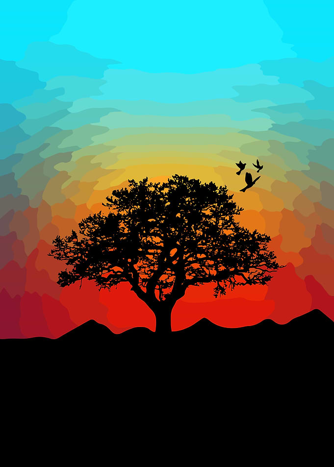 Silhouette Tree Sunset with Birds
