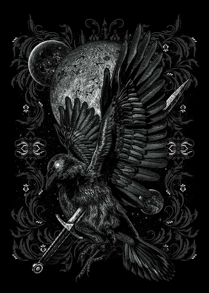 Raven at night