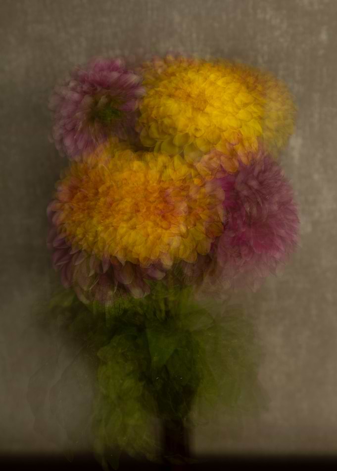 Abstract Floral Arrangement