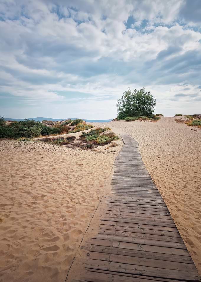 Wooden Path on Sandy Beach Landscape