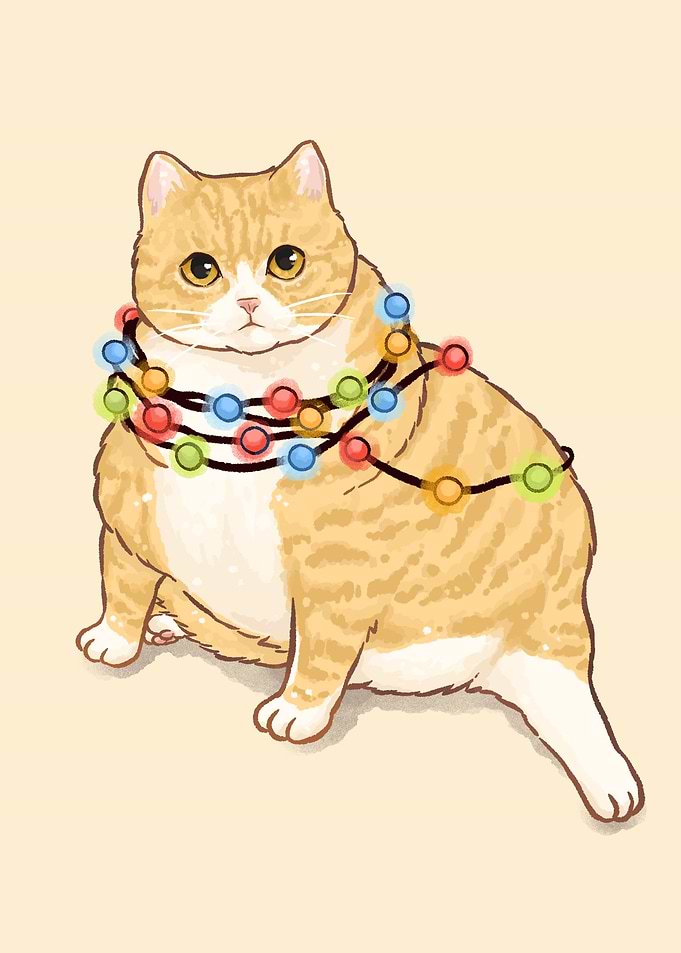 Chubby Cat with Christmas Lights