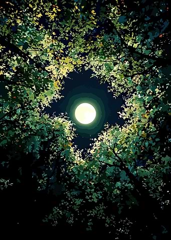 Moon Through Trees