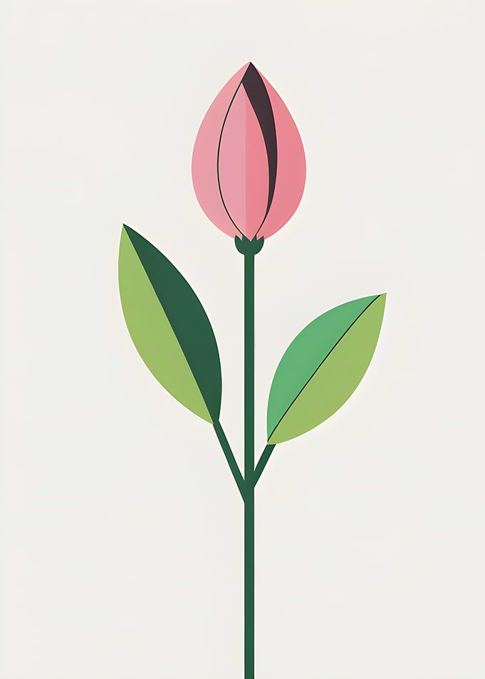 Minimalist Pink Flower Bud Illustration