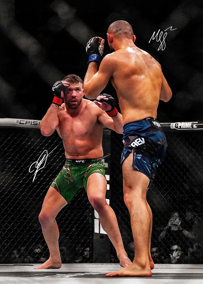 UFC Fighters