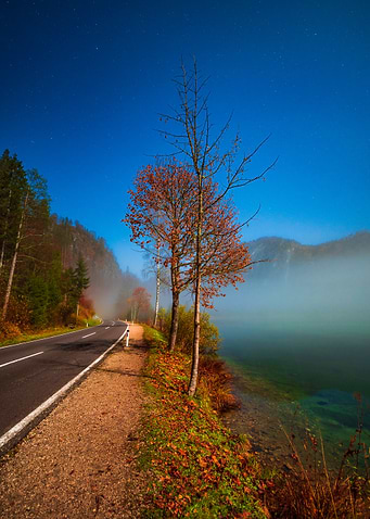 Scenic Lakeside Road at Almsee