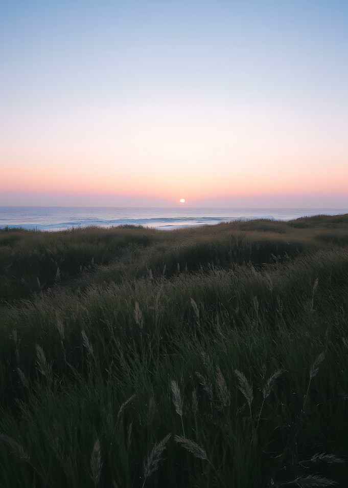 Sunset over grassy dunes by the sea