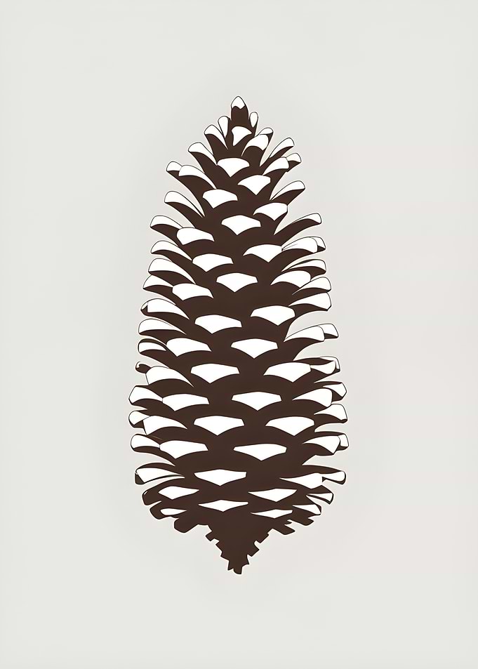 Pine Cone Illustration