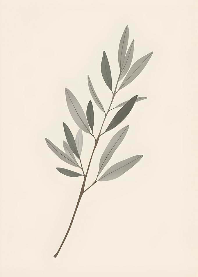 Olive Branch Illustration