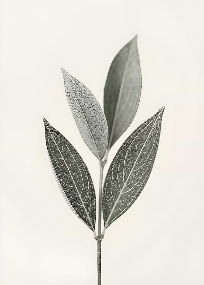 Monochrome Leaves on Stem