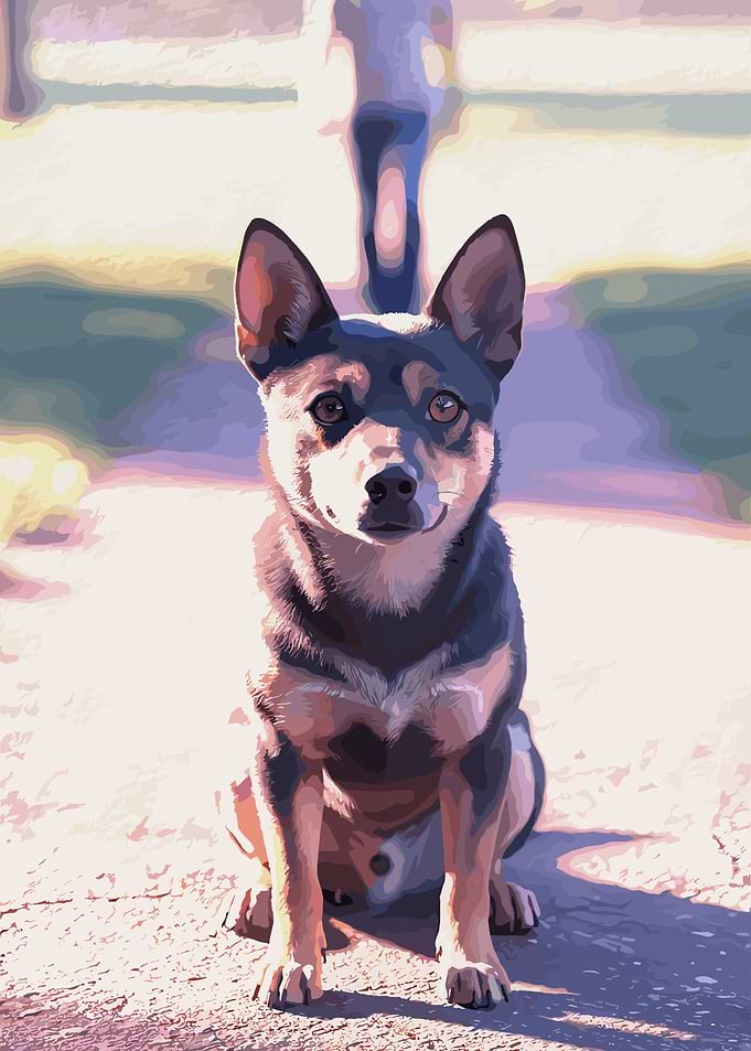 Dog Portrait with Person in Background