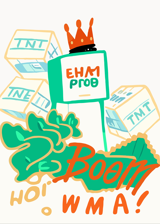 TNT Boom with Crowned Monitor
