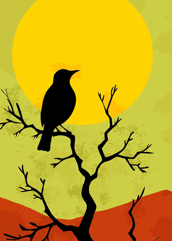Silhouette of Bird on Tree Branch