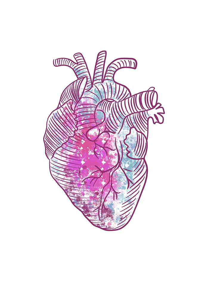 Anatomical Heart with paint Texture
