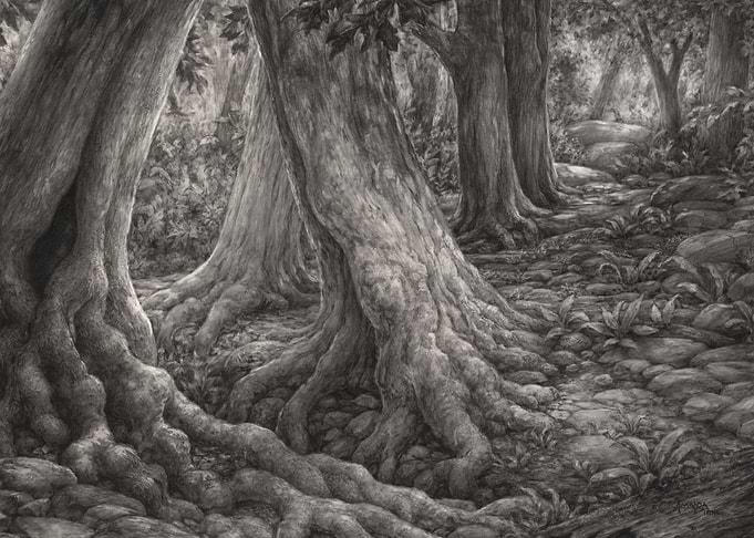 Breaking Through the Forest