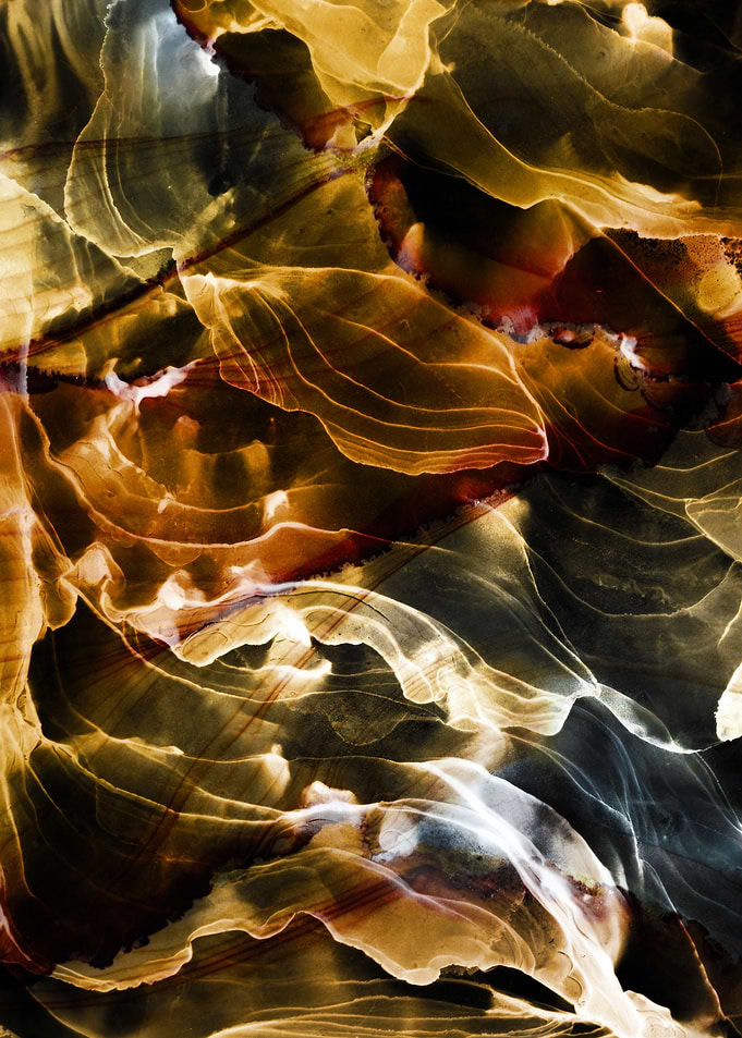 Abstract Ink Fluid Art in Gold and Black