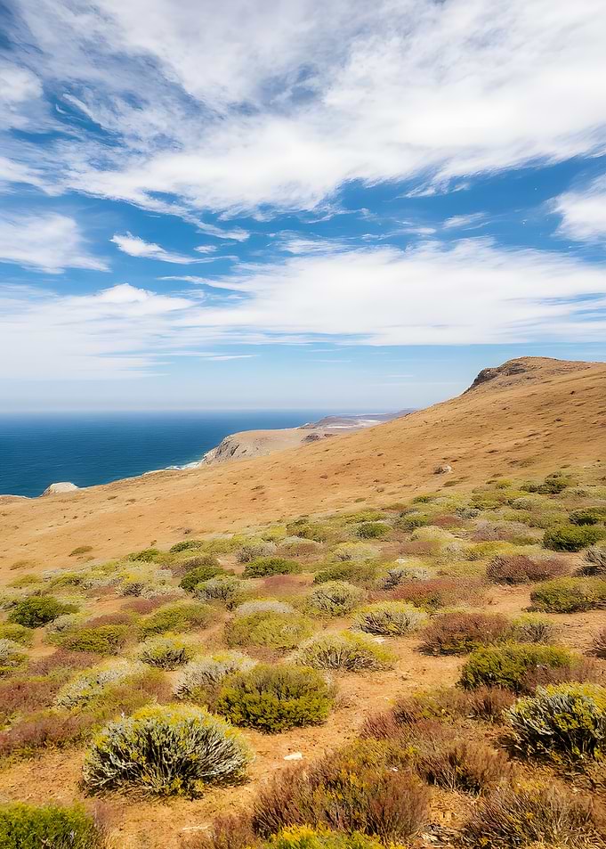 Coastal Hillside Landscape with Blue Sky
