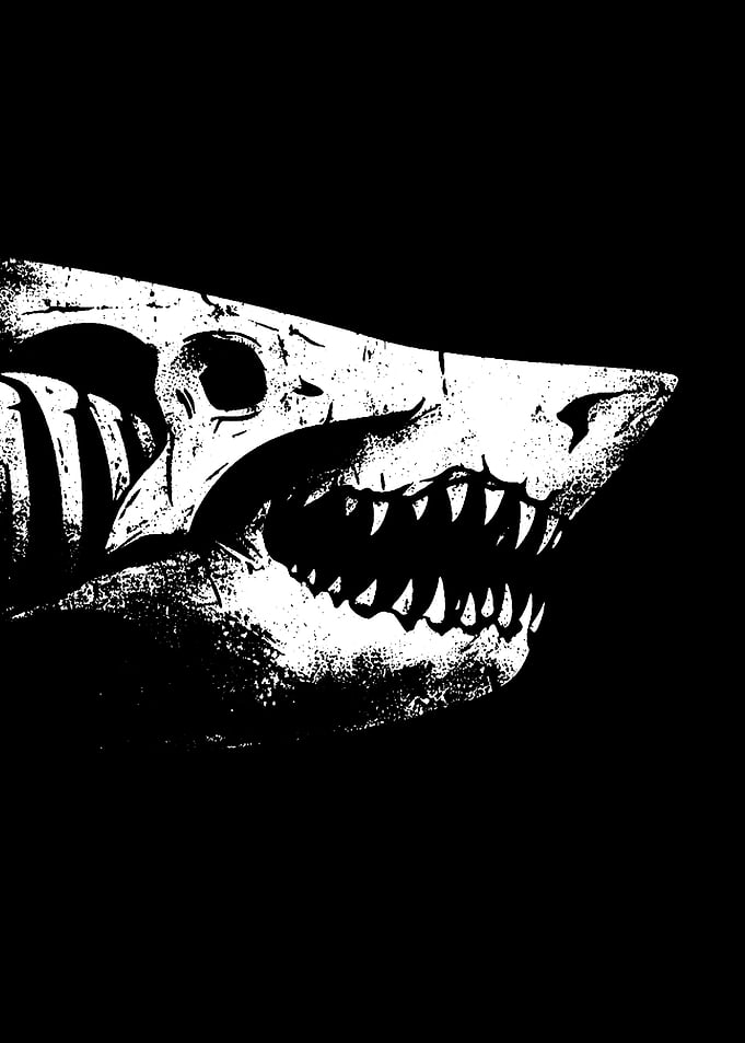 Shark Skeleton Black and White