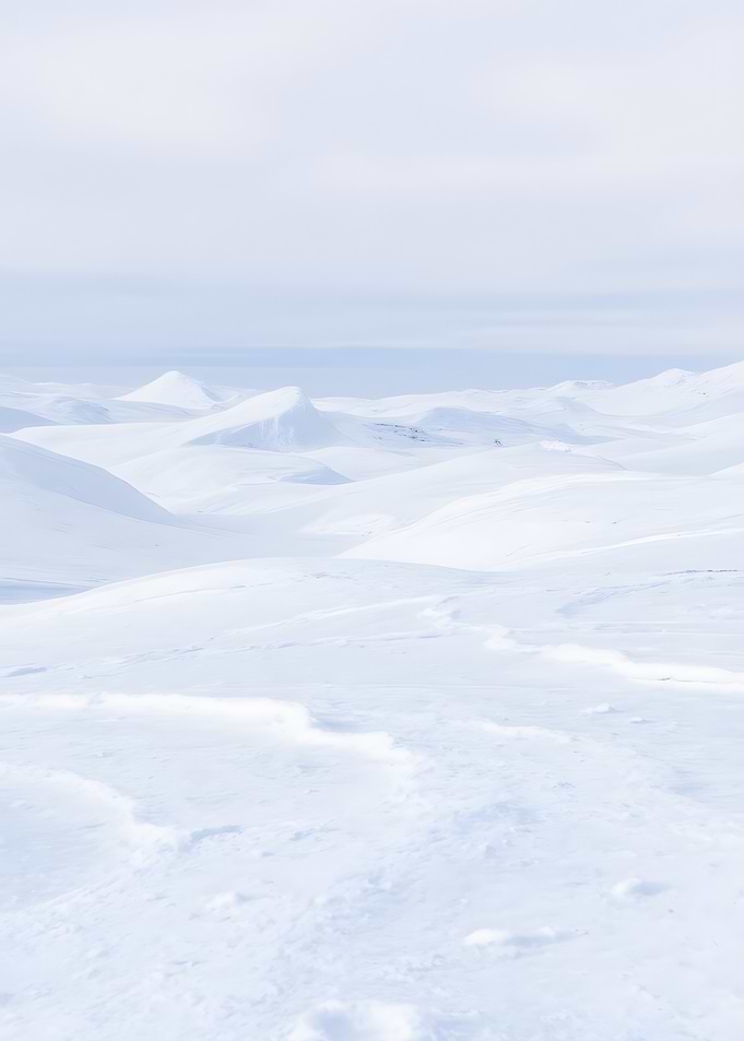 Snowy White Landscape