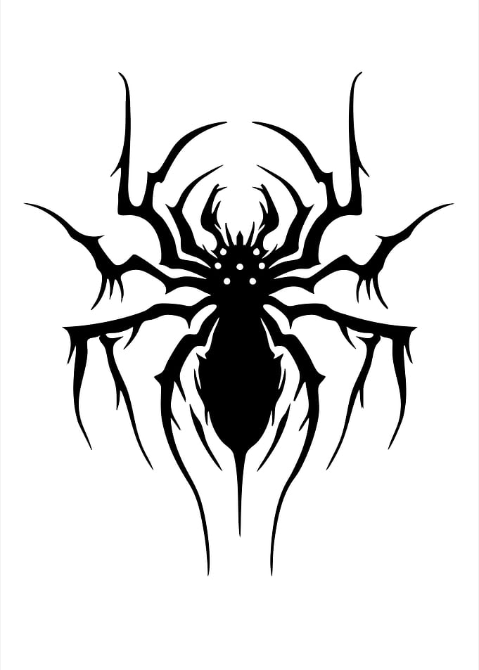 Black Spider Silhouette on White Background