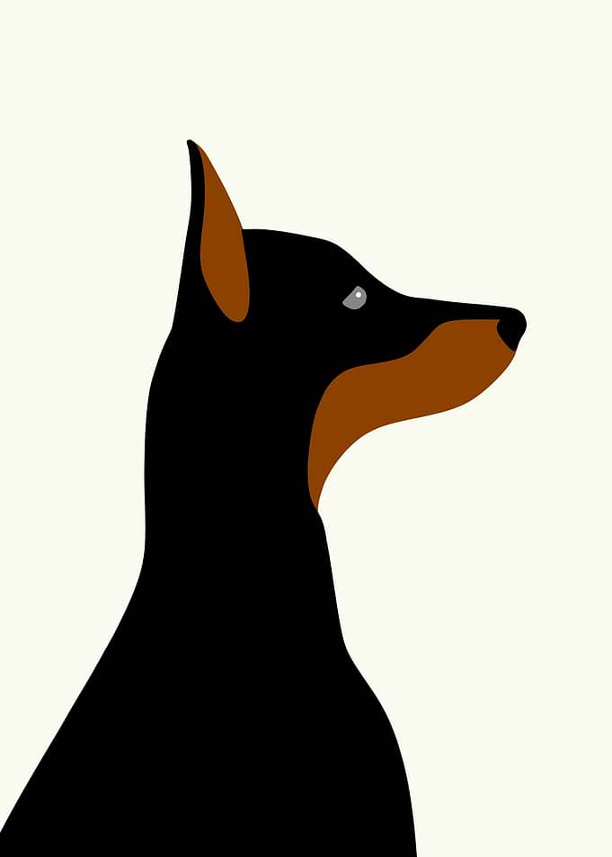 Doberman Pinscher Minimalist Art