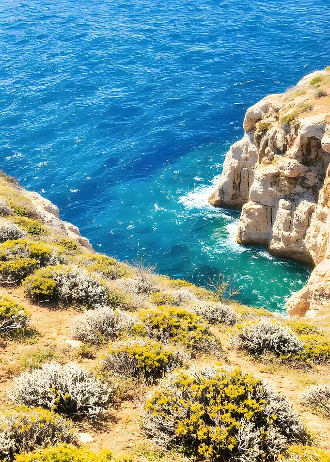 Coastal Cliffside View with Turquoise Water