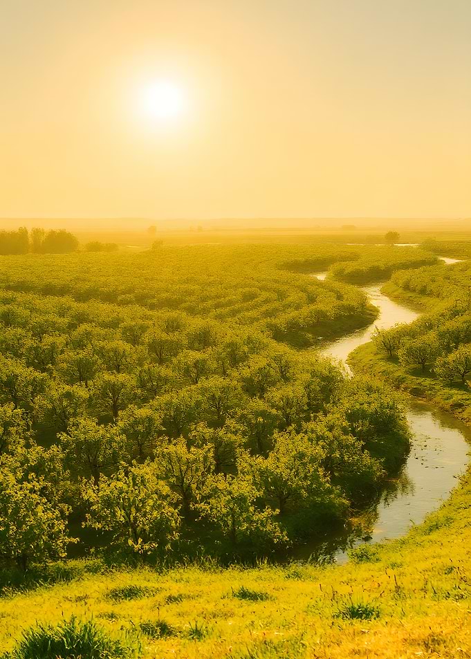 Golden River Landscape at Sunset
