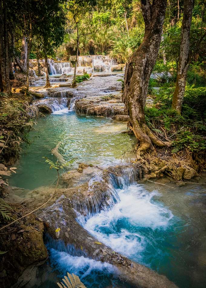 Tropical Waterfall in Lush Green Forest