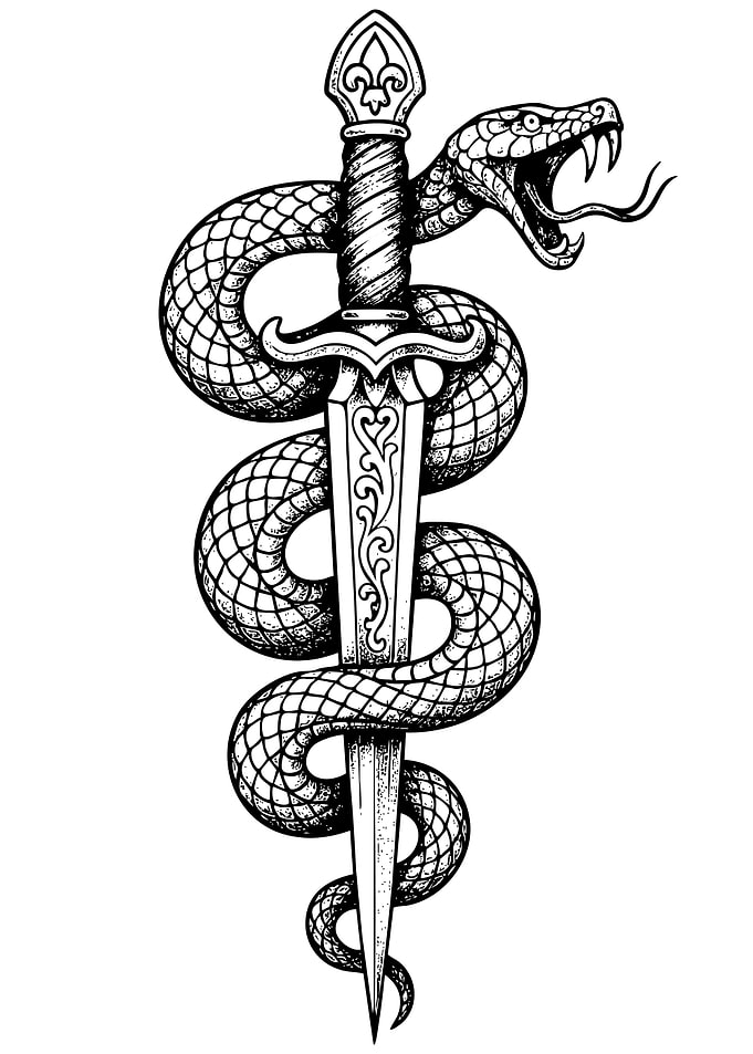 Snake Coiled Around Sword Illustration
