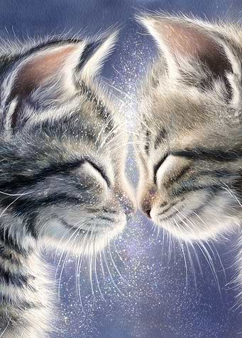 Two Kittens Touching Noses with Sparkles