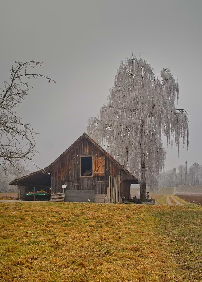 Rustic Barn and Icy Tree Landscape