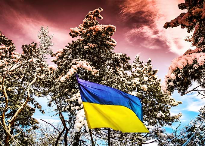 Ukrainian Flag Winter Forest