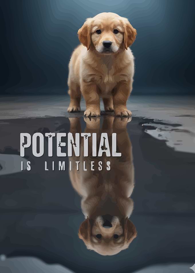 Golden Retriever Puppy with Reflection