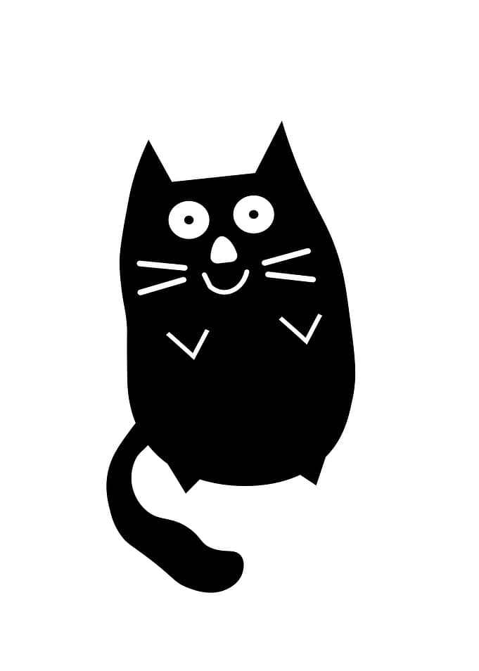 Black Cat