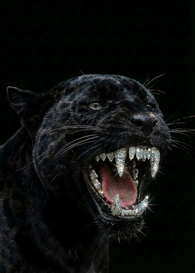 Black Panther with Diamond Teeth